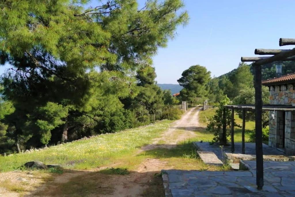 Vila Wood & Stone Dream View House B Diaporos Exteriér fotografie